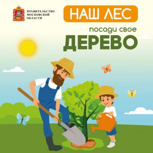 Наш лес. Посади свое дерево