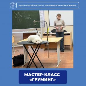 Мастер-класс на тему «Груминг».