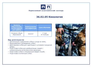 КАКИМ ПРОФЕССИЯМ МЫ ОБУЧАЕМ. ЧАСТЬ 12.