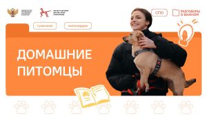 «Домашние питомцы»