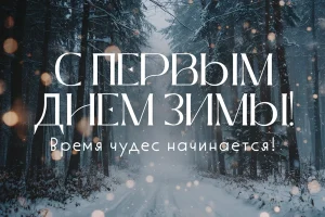 С первым днём зимы!