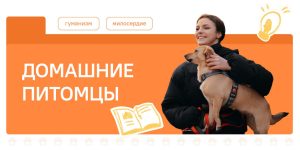 В Подмосковном политехническом колледже прошли занятия из цикла «Разговоры о важном» на тему «Домашние питомцы».