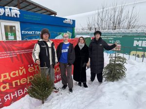 Вторая жизнь новогдних ёлок