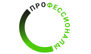 Региональный чемпионат «Профессионалы»: триумф в компетенции «Реверсивный инжиниринг».