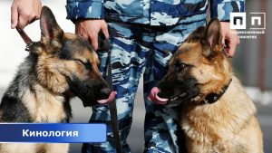 КАКИМ ПРОФЕССИЯМ МЫ ОБУЧАЕМ. ЧАСТЬ 10.